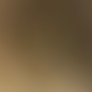 Meet your Posher, Joy